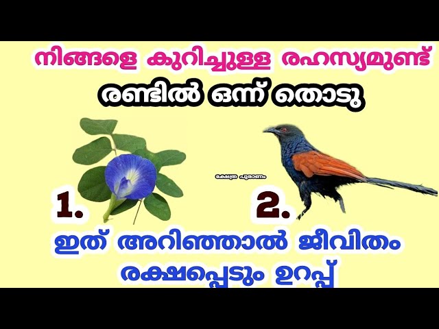 ഇത് അറിയാതെ പോയാൽ വലിയ നഷ്ടം.