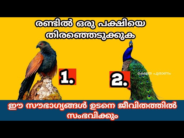 നാളെ മുതൽ ഈ സൗഭാഗ്യങ്ങൾ നിങ്ങളെ തേടി എത്തും.