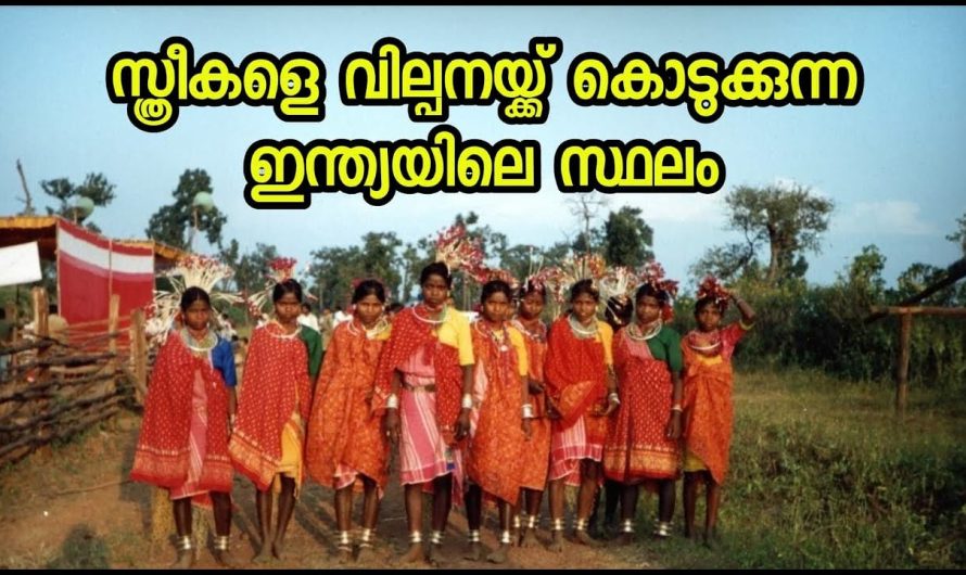 സ്ത്രീകളെ വില്പനയ്ക്ക് കൊടുക്കുന്ന ഇന്ത്യയിലെ സ്ഥലം