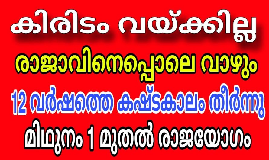രാജയോഗം മിഥുനം 1 മുതൽ കിരിടം വച്ചില്ലേലും ഈ നാളുകാർ രാജാവിനു തുല്യം
