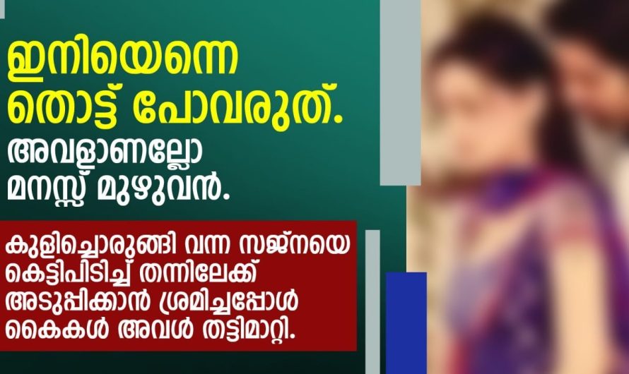 കുളിച്ചൊരുങ്ങി വന്ന സജ്‌നയെ കെട്ടിപിടിച്ച് തന്നിലേക്ക് അടുപ്പിക്കാൻ ശ്രമിച്ചപ്പോൾ