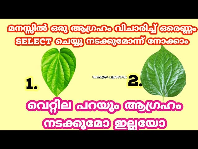 മനസ്സിൽ ഒരു ആഗ്രഹം വിചാരിച്ച് ഒരെണ്ണം Select ചെയ്യു നടക്കുമോന്ന് നോക്കാം