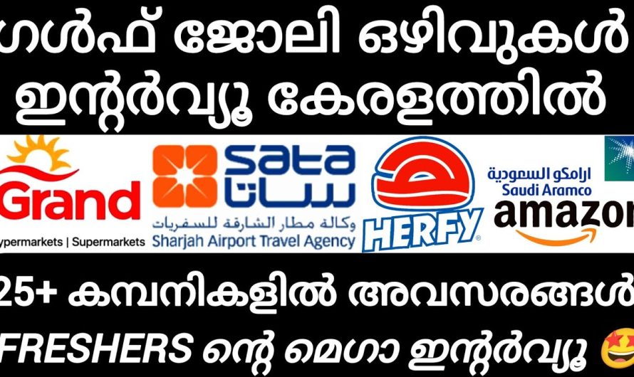 25 കമ്പനികളിൽ തൊഴിലവസരങ്ങൾ ഫ്രഷേഴ്സ്  മെഗാ ഇന്റർവ്യൂ.