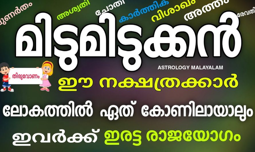 ഈ നാളുകാർ മിടുമിടുക്കരാണ് , ഇവർ എവിടെ ആണെങ്കിലും രക്ഷപ്പെട്ടിരിക്കും തീർച്ച