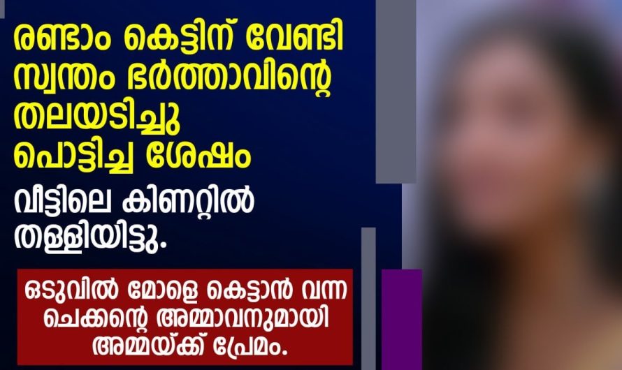 രണ്ടാം കെട്ടിനു വേണ്ടി സ്വന്തം ഭർത്താവിന്റെ തലയിടിച്ച് പൊട്ടി.ച്ച യുവതിക്ക് സംഭവിച്ചത്…