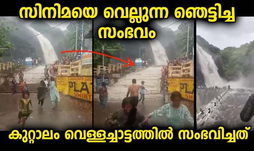സ്ഥലം ആസ്വദിക്കാൻ പോയവർ പോലും ഇങ്ങനെ സംഭവിക്കുമെന്ന് കരുതിയില്ല..