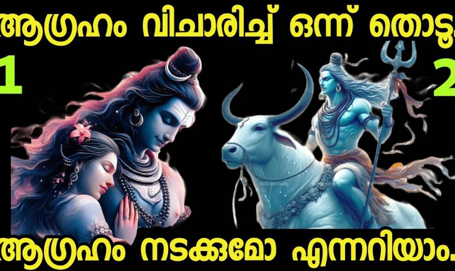 മനസ്സ് പറയുന്ന ഒരു ചിത്രം തൊടൂ..നിങ്ങൾക്ക് വരാൻ പോകുന്ന ഭാഗ്യങ്ങൾ അറിയാം.