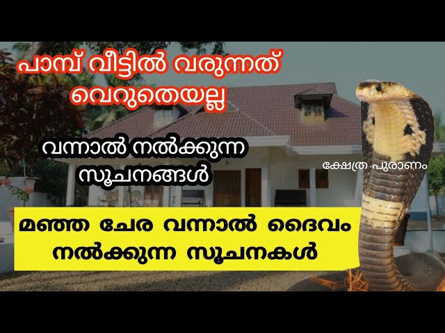 പാമ്പ് വീട്ടിൽ വരുന്നതിലൂടെ നമ്മുക്ക് ലഭിക്കുന്ന സൂചനകൾ. ഇവ അവഗണിക്കരുത്…