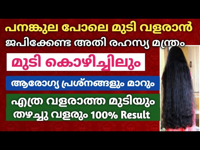 മുടി കൊഴിച്ചിൽ മാറി പനങ്കുല പോലെ മുടി വളരാൻ, മുടിയുടെ ആരോഗ്യം വർദ്ധിക്കാൻ