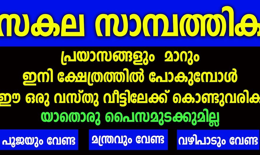 ഈ ഒരു വസ്തു വീട്ടിലേക്ക് കൊണ്ടുവരിക സകല സാമ്പത്തിക ബുദ്ധിമുട്ടുകളും മാറും, സംശയം വേണ്ട