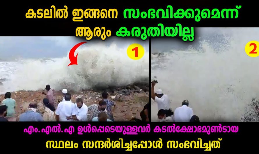 ഇങ്ങനെ സംഭവിക്കുമെന്ന് ആരും പ്രതീക്ഷിച്ചില്ല… അപ്രതീക്ഷിത സംഭവം