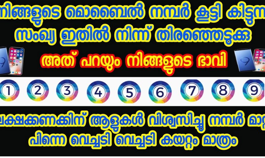 സംഖ്യ ശാസ്ത്രം പറയും നിങ്ങളുടെ ഭാവി ജീവിതം