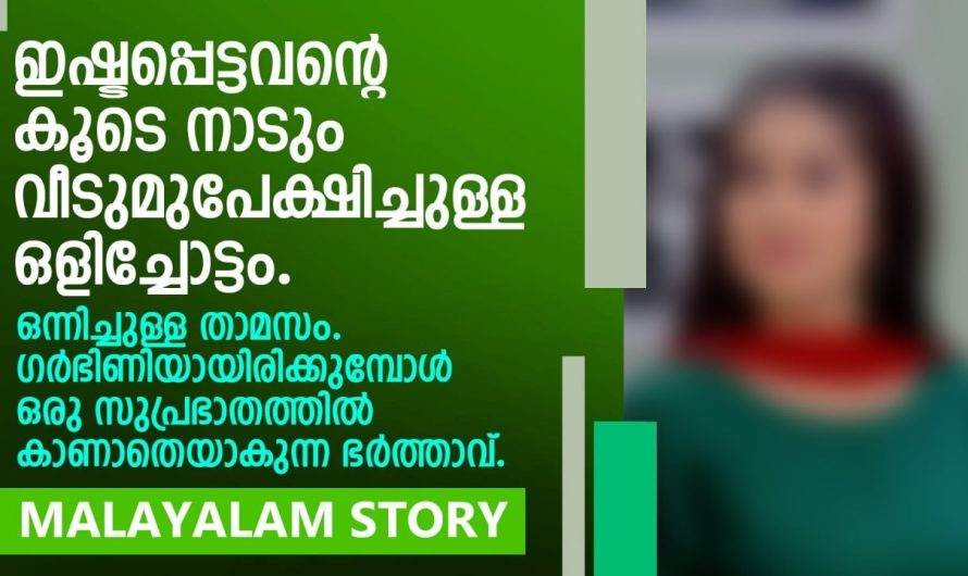 ഭാര്യ ഗർഭിണിയായിരിക്കുമ്പോൾ ഒരു സുപ്രഭാതത്തിൽ കാണാതെയാകുന്ന ഭർത്താവിനെ സംഭവിച്ചത്.