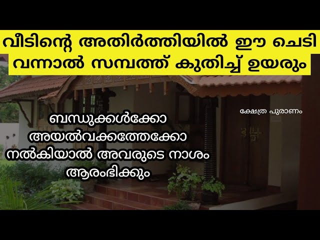 വീടിന്റെ തൊട്ട് അടുത്ത് വന്നാൽ ആ വീട് നശിച്ച് കൊണ്ടെ ഇരിക്കും