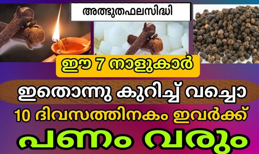 ഈ നാളുകാർക്ക് താങ്ങായും തണലായും ഈശരനുണ്ട് ! ധനയോഗം ഫലം