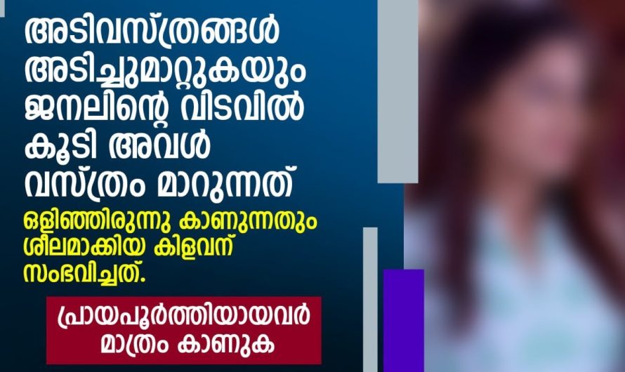 അടി.വസ്ത്രങ്ങൾ അടിച്ചുമാറ്റുകയും ജനലിന്റെ വിടവിൽ കൂടി അവൾ വസ്ത്രം മാറുന്നത് |