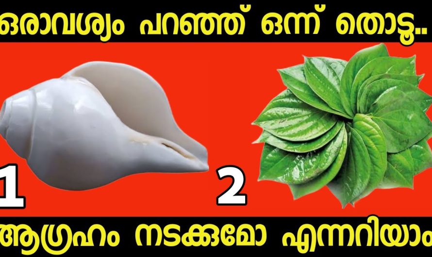 മനസ്സ് പറയുന്ന ഒരു ചിത്രം തൊടൂ..നിങ്ങൾക്ക് വരാൻ പോകുന്ന ഭാഗ്യങ്ങൾ അറിയാം.