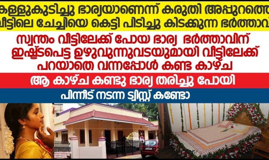 പറയാതെ വീട്ടിലേക്ക് വന്ന ഭാര്യ വീട്ടിൽ കണ്ട കാഴ്ച ഇതൊരു പെണ്ണ് എങ്ങനെ സഹിക്കും