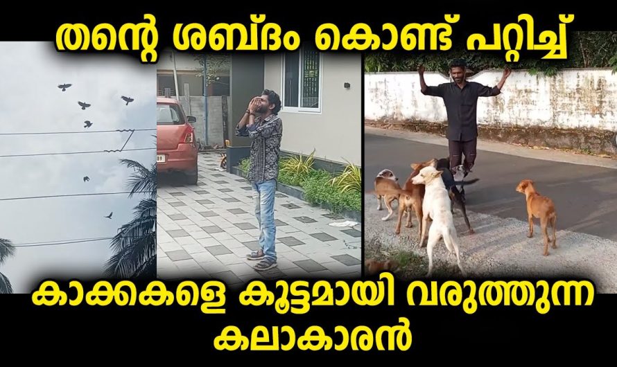 തന്റെ ശബ്ദം കൊണ്ട് അതിശയിപ്പിക്കുന്ന രീതിയിൽ വിളിക്കുന്ന കലാകാരൻ
