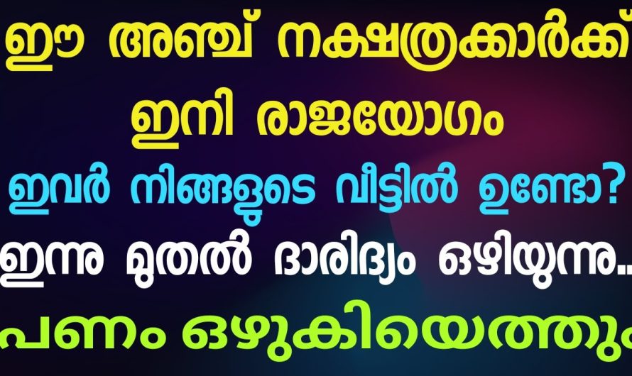 ഈ നക്ഷത്രജാതകർക്ക് ഇനി ശുക്രൻ അടിച്ചു, ഇനി വൻ ഉയർച്ചയാണ്..