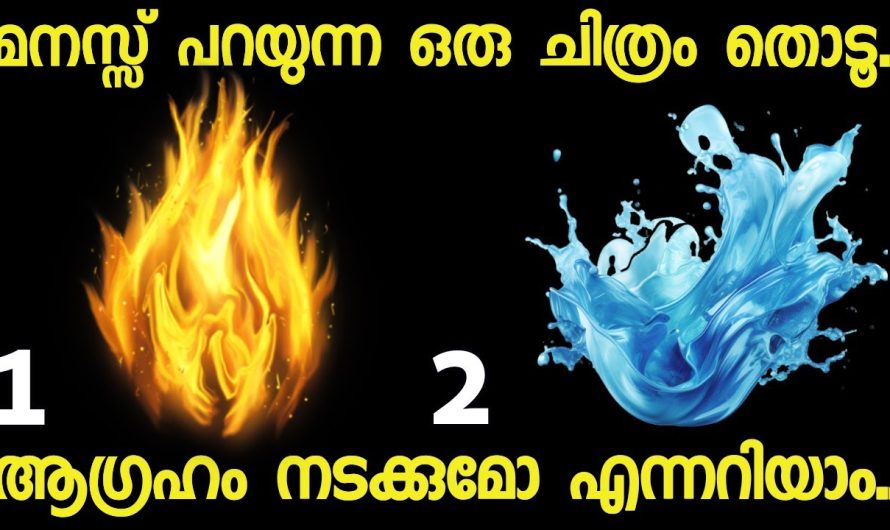 മനസ്സ് പറയുന്ന ഒരു ചിത്രം തൊടൂ..നിങ്ങൾക്ക് വരാൻ പോകുന്ന ഭാഗ്യങ്ങൾ അറിയാം.