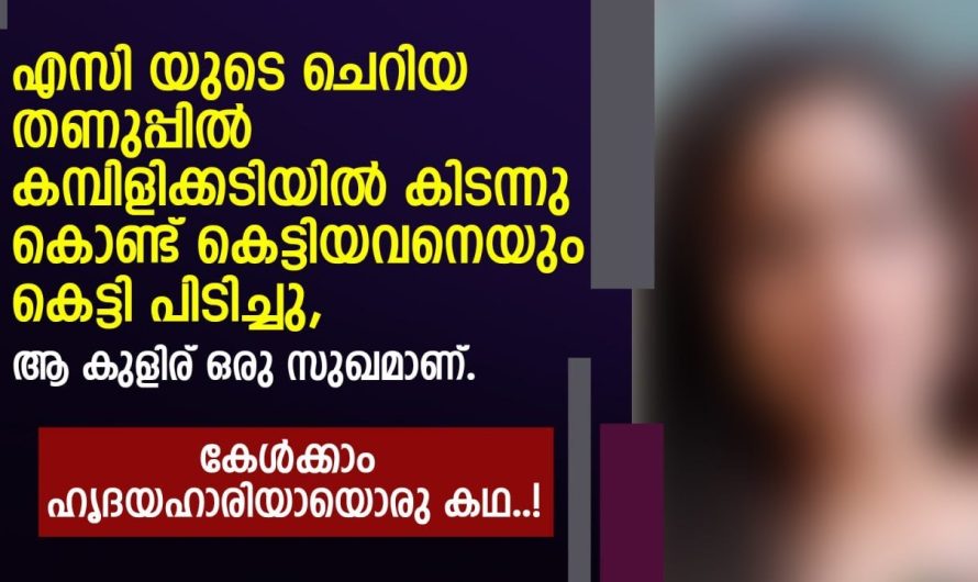 എസി യുടെ തണുപ്പിൽ കെ ട്ടിപിടിച്ചു, ആ കുളിര് ഒരു സുഖമാണ്