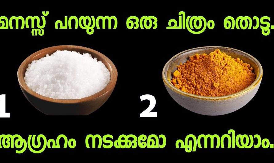 മനസ്സ് പറയുന്ന ഒരു ചിത്രം തൊടൂ..നിങ്ങൾക്ക് വരാൻ പോകുന്ന ഭാഗ്യങ്ങൾ അറിയാം.
