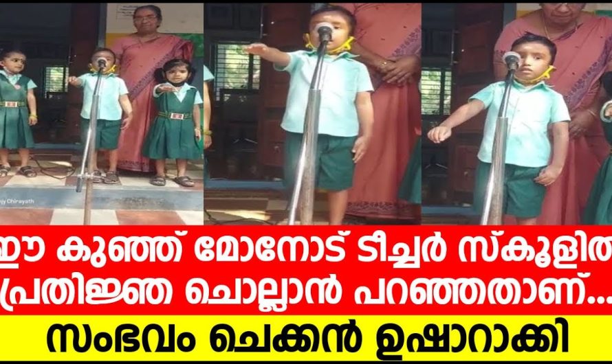 ഈ കുഞ്ഞ് മോനോട് ടീച്ചർ സ്കൂളിൽപ്രതിജ്ഞ ചൊല്ലാൻ പറഞ്ഞതാണ്..  ചെക്കൻ ഉഷാറാക്കി