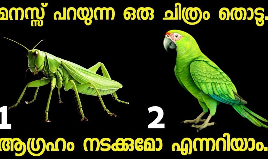 മനസ്സ് പറയുന്ന ഒരു ചിത്രം തൊടൂ..നിങ്ങൾക്ക് വരാൻ പോകുന്ന ഭാഗ്യങ്ങൾ അറിയാം.