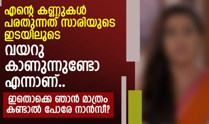 ഇതൊക്കെ ഞാൻ മാത്രം കണ്ടാൽ പോരേ നാൻസീ? എന്റെ കണ്ണുകൾ പരതുന്നത് സാരിയുടെ ഇടയിലൂടെ
