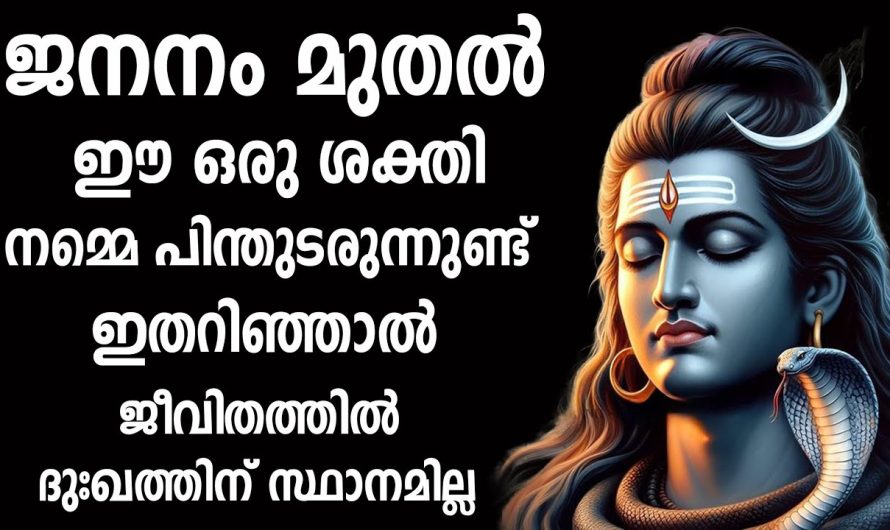 ഈ ഒരു രഹസ്യം അറിയാതെ ഈ ജന്മം മുഴുവൻ ശിവനെ പ്രാത്ഥിച്ചിട്ട് ഒരു ഫലവുമില്ല,