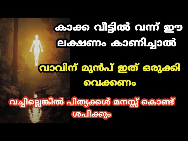 കർക്കടക വാവ് ബലിക്ക് മുൻപ് കാക്കകൾ നൽകുന്ന ശുഭ ലക്ഷ്ണങ്ങൾ