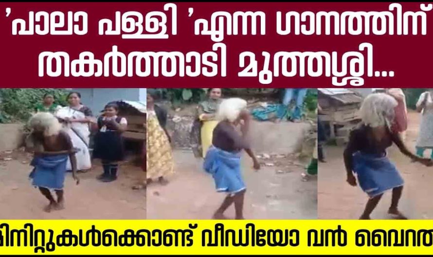 പാലാ പള്ളി എന്ന ഗാനത്തിന് തകർത്താടി മുത്തശ്ശി; മിനിറ്റുകൾക്കൊണ്ട് വീഡിയോ വൻ വൈറൽ