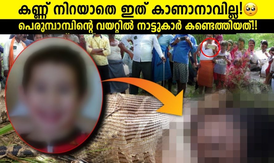 ഭയമുള്ളവർ കാണരുത്!⚠️😱!!!