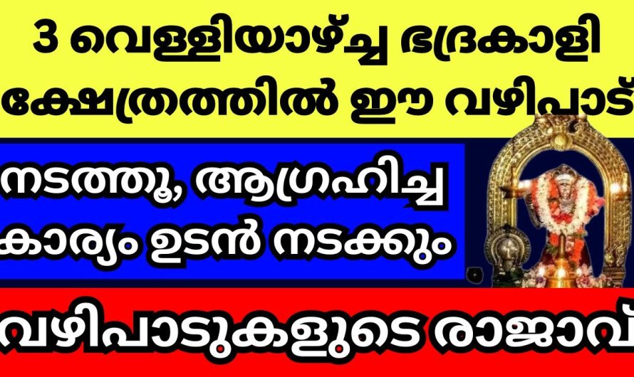 3 വെള്ളിയാഴ്ച്ച ഭദ്രകാളി അമ്മയുടെ അമ്പലത്തിൽ ഇത് ചെയ്യൂ, വിചാരിച്ച കാര്യം നടന്ന് കിട്ടും