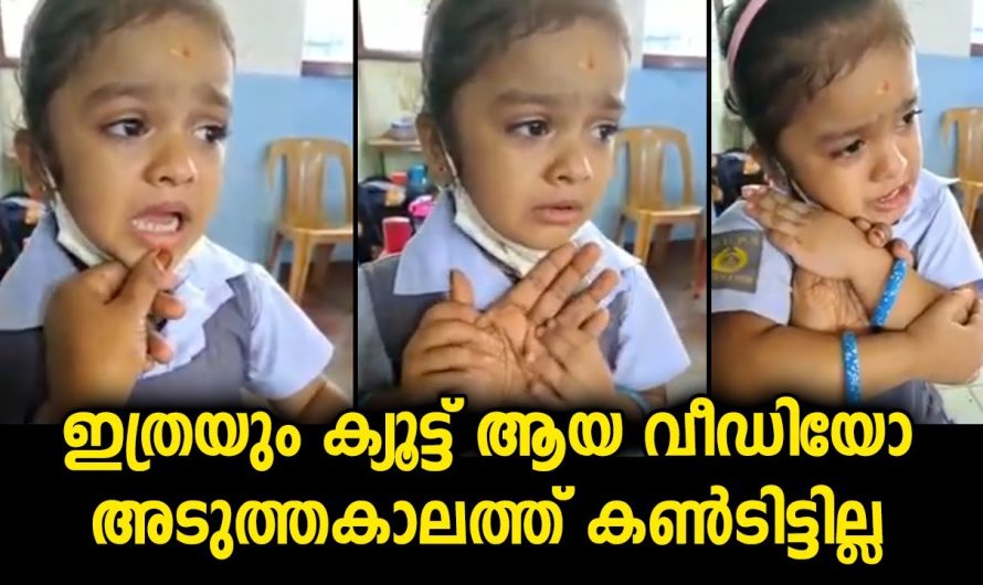 ഇത്രയും ക്യൂട്ട് ആയ വീഡിയോ അടുത്ത കാലത്തു കണ്ടിട്ടില്ല…അച്ചോടാ പാവം മോൾ