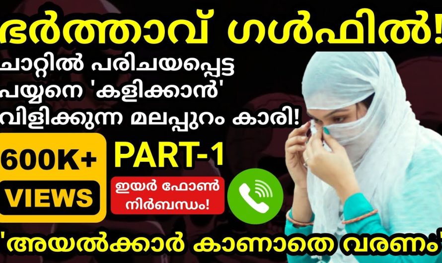 എത്ര നൈസ് ആയിട്ടാണ് ഇവൾ അവനെ ‘കളി.ക്കാ.ൻ’ വിളിക്കുന്നത് എന്ന് നോക്കൂ