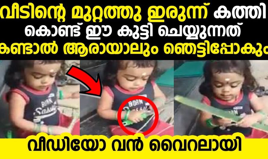 വീടിൻ്റെ മുറ്റത്തു ഇരുന്ന് കത്തി കൊണ്ട് കുട്ടി ചെയ്യുന്നത് കണ്ടാൽ ആരായാലും ഞെട്ടിപ്പോകും