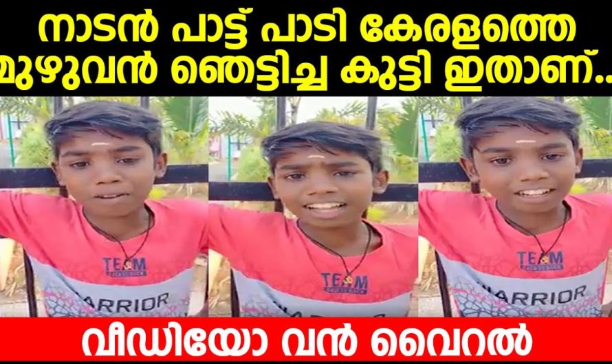 നാടൻ പാട്ട് പാടി കേരളത്തെ മുഴുവൻ ഞെട്ടിച്ച കുട്ടി ഇതാണ്… വീഡിയോ വൻ വൈറൽ