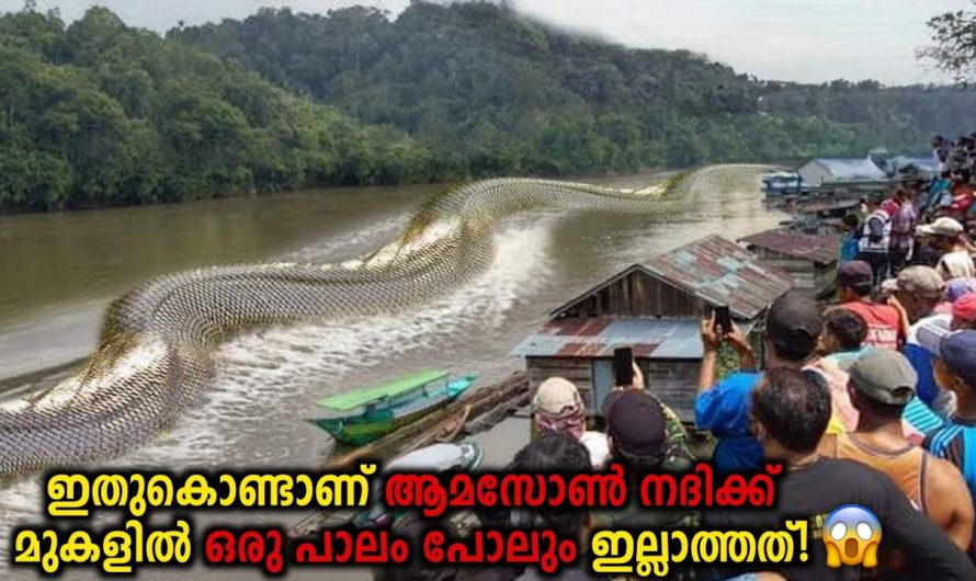 ആമസോൺ നദിക്ക് കുറുകെ പാലം പണിയാത്തത് എന്ത്കൊണ്ട്?