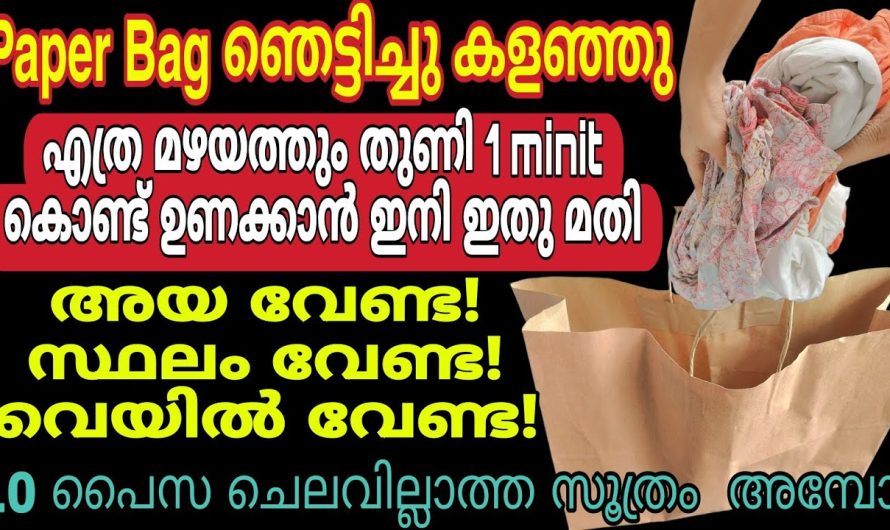 Paper bag ഉണ്ടായിട്ടും ഇത്രനാളും ഇതുപോലെ ചെയ്തില്ലല്ലോ | വീട്ടമ്മമാർക്ക് ഉപകാരപ്പെടുന്ന