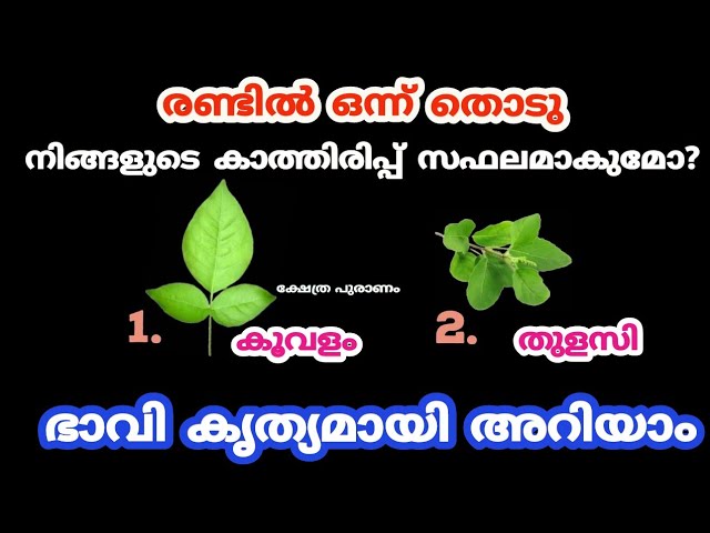 ഭാവി കൃത്യമായി അറിയാം മനസ്സിലെ കാര്യങ്ങൾ നടക്കാൻ സമയമായോ?