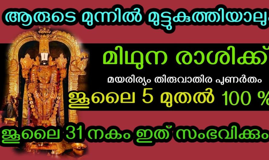 ദൈവത്തിനു നന്ദി പറയുക മിഥുന രാശിക്ക്.. രാജയോഗം !ഇതിന് ജൂലൈ 31നകം പരിഹാരമാകും.