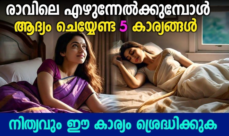 ഇനി മുതൽ ശ്രെദ്ധിക്കുക !! രാവിലെ എഴുന്നേൽക്കുമ്പോൾ ചെയ്യേണ്ട 5 കാര്യങ്ങൾ