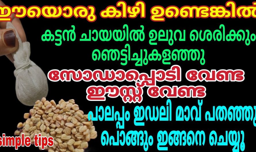ഉലുവയുണ്ടെങ്കിൽ സോഡാ പൊടിയും ഈസ്റ്റും വേണ്ട | കട്ടൻചായയും ഉലുവയും ഞെട്ടിച്ചുകളഞ്ഞു