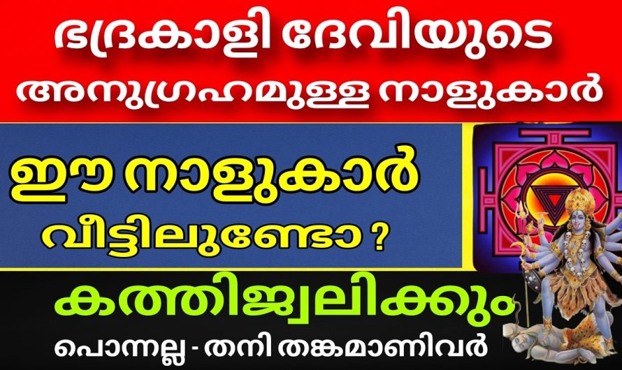 ഇനി തോൽവി ഇല്ല! ഈ 9 നാളുകാർ ദേവി ഭദ്രകാളിയുടെ പ്രിയ നക്ഷത്രക്കാർ നേട്ടത്തിന്റെ കാലം !