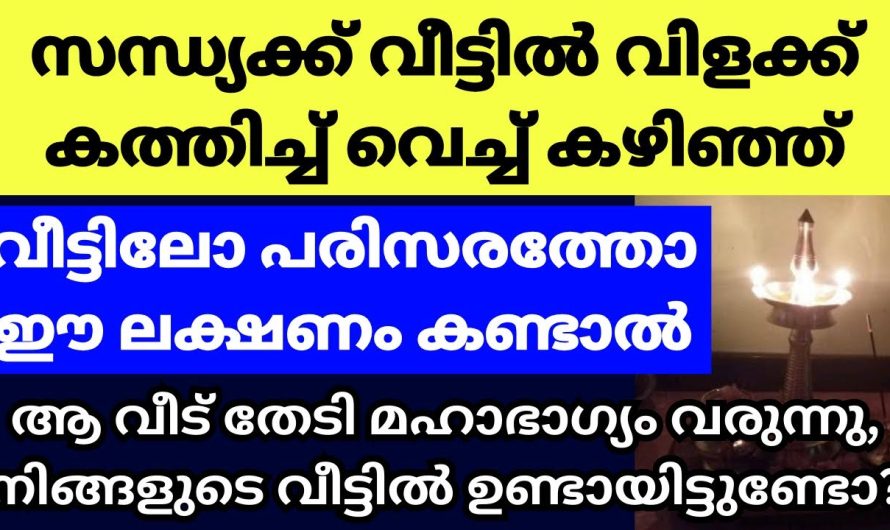 സന്ധ്യക്ക് വിളക്ക് തൊഴുത് തിരിഞ്ഞ് നോക്കുമ്പോൾ ഈ കാഴ്ചകൾ കണ്ടാൽ സർവ്വൈശ്വര്യം ഫലം, നല്ലകാലം പിറക്കും