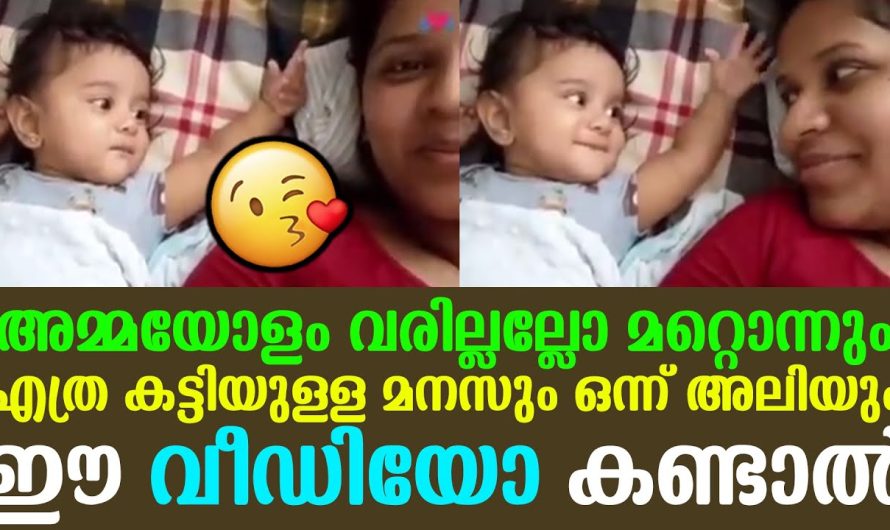 അമ്മയോളം വരില്ലല്ലോ മറ്റൊന്നും എത്ര കട്ടിയുള്ള മനസും ഒന്ന് അലിയും ഈ വീഡിയോ കണ്ടാൽ