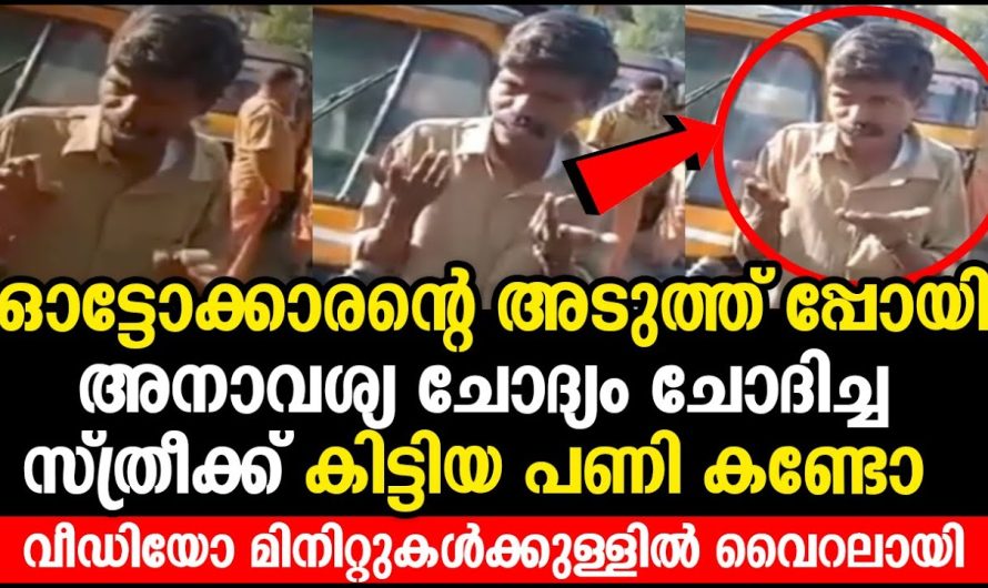 ഓട്ടോക്കാരന്റെ അടുത്ത് പ്പോയി അനാവശ്യ ചോദ്യം ചോദിച്ച സ്ത്രീക്ക് കിട്ടിയ പണി കണ്ടോ