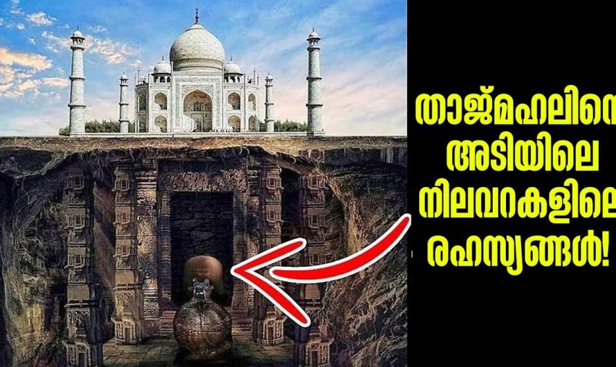 ലോകത്തിലെ ഏറ്റവും നിഗൂഢമായ നിലവറകൾ
